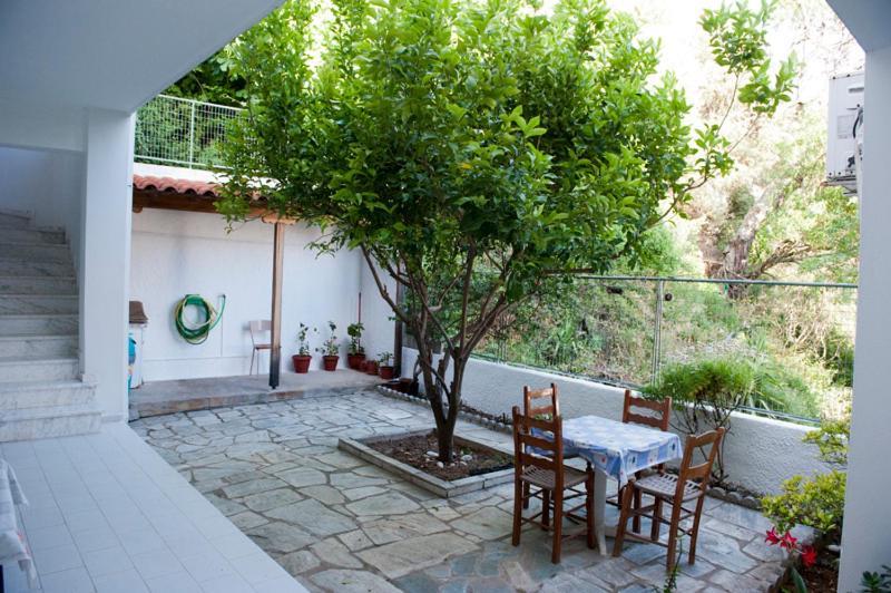 Syraina Apartments Skiathos Town Luaran gambar